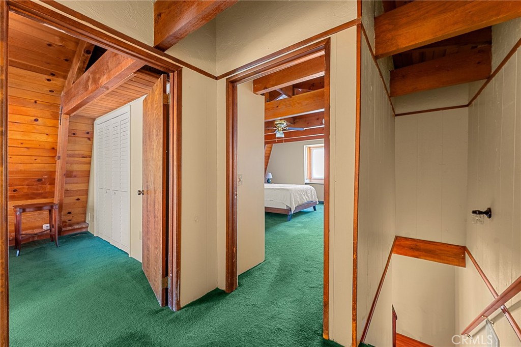32799 Badger Property Photo 19