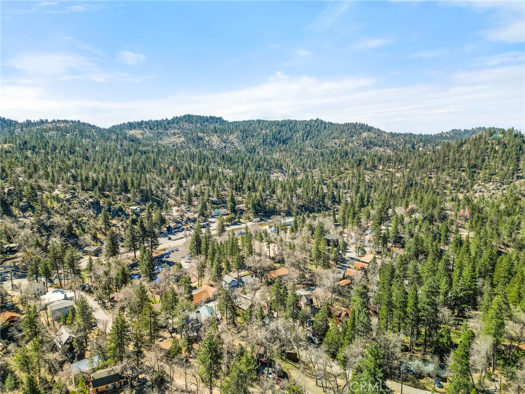 32799 Badger Property Photo 27