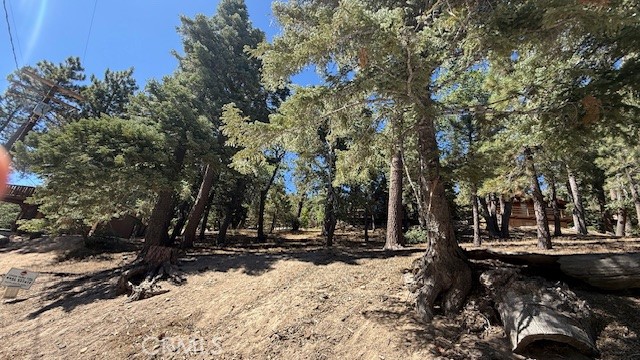 33112 Juniper Lane Property Photo 2