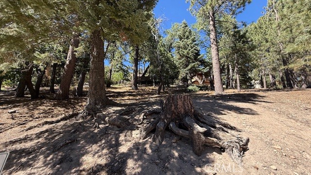 33112 Juniper Lane Property Photo 3