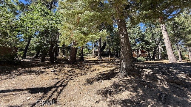 33112 Juniper Lane Property Photo 4