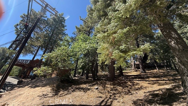 33112 Juniper Lane Property Photo 5