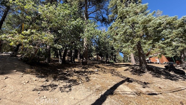 33112 Juniper Lane Property Photo 6