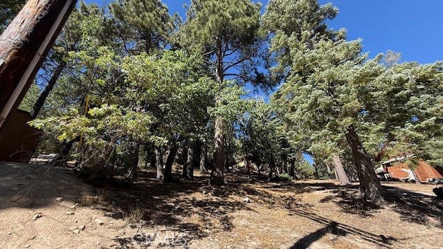 33112 Juniper Lane Property Photo 7