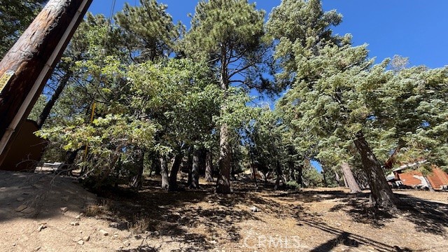 33112 Juniper Lane Property Photo 8