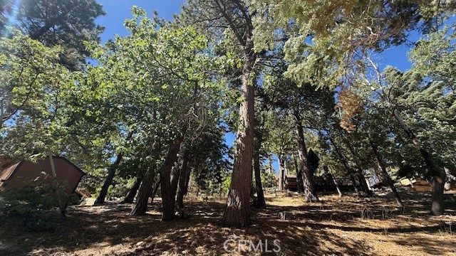 33112 Juniper Lane Property Photo 9