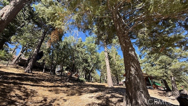 33112 Juniper Lane Property Photo 10