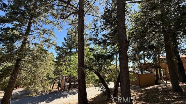 33112 Juniper Lane Property Photo 13