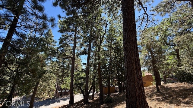 33112 Juniper Lane Property Photo 15