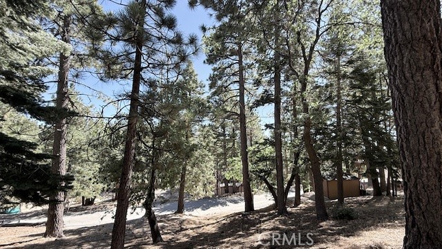 33112 Juniper Lane Property Photo 16