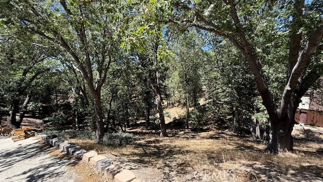 736 Dahlia Drive Property Photo 3