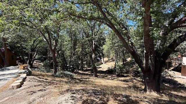 736 Dahlia Drive Property Photo 4