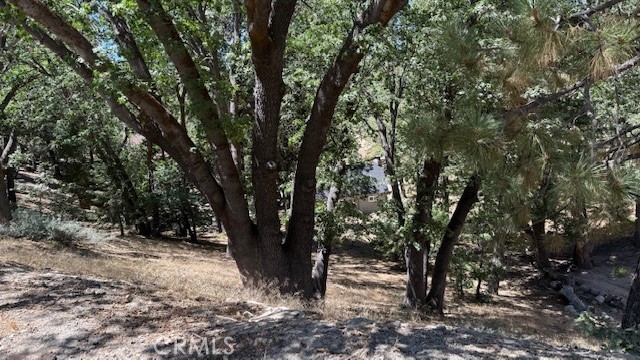 736 Dahlia Drive Property Photo 6