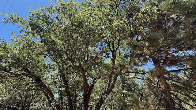 736 Dahlia Drive Property Photo 7