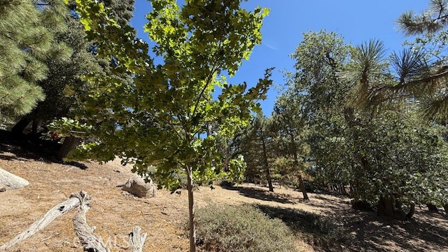 0 Piedras Grande Property Photo 7