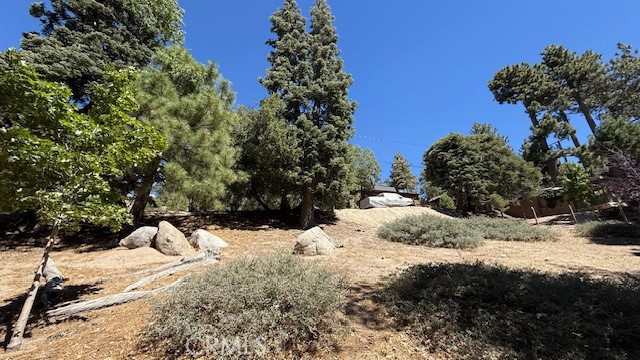 0 Piedras Grande Property Photo 8