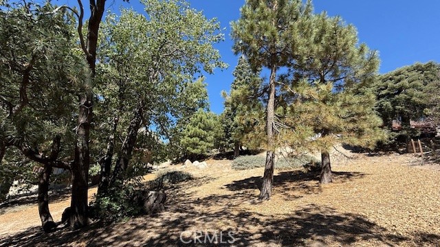 0 Piedras Grande Property Photo 11