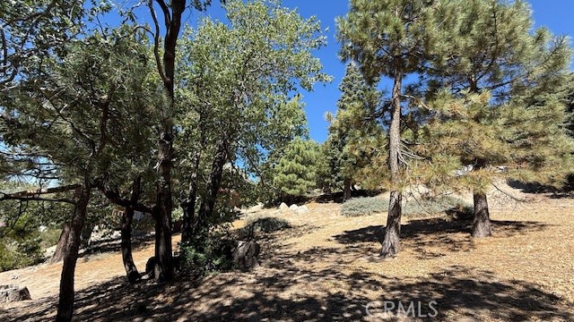 0 Piedras Grande Property Photo 12