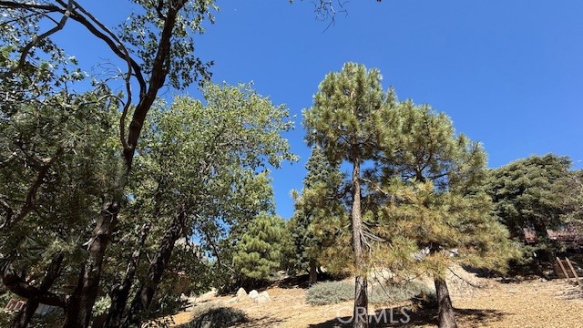 0 Piedras Grande Property Photo 13