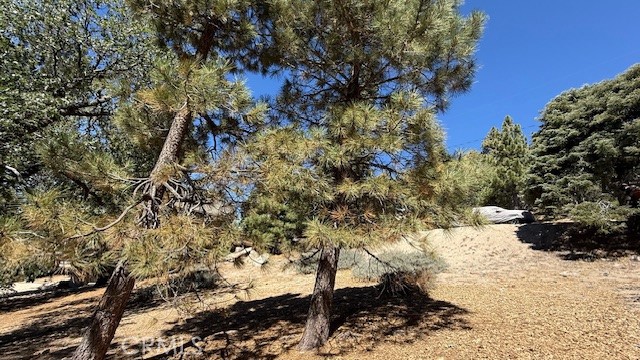 0 Piedras Grande Property Photo 14