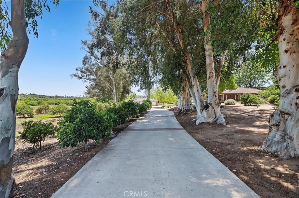 8180 Victoria Avenue Property Photo 6