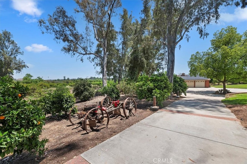 8180 Victoria Avenue Property Photo 7