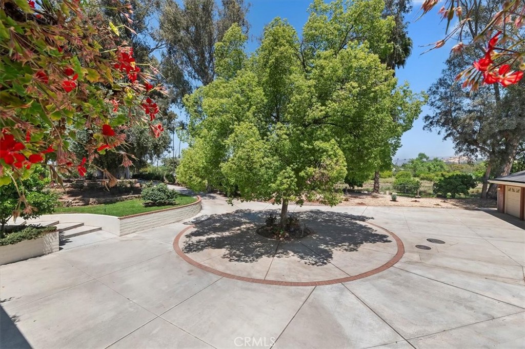 8180 Victoria Avenue Property Photo 15