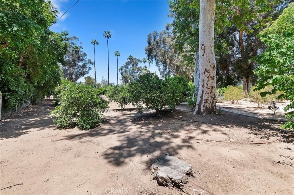 8180 Victoria Avenue Property Photo 58