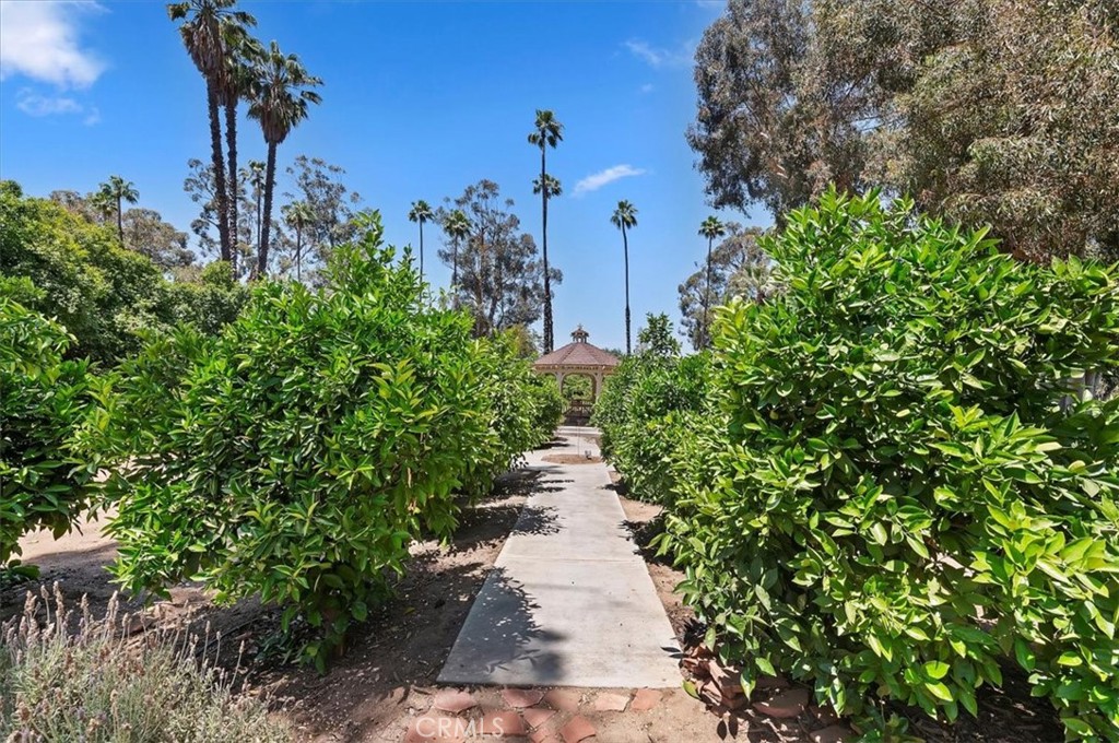 8180 Victoria Avenue Property Photo 60