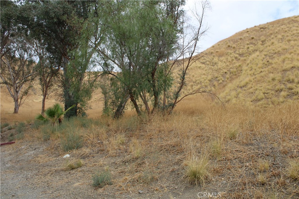 3448 N Beverly Drive Property Photo 6