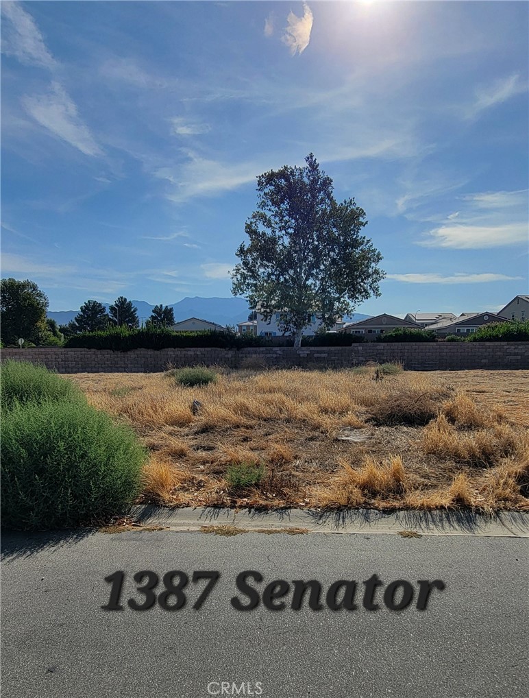 1387 Senator Property Photo 2