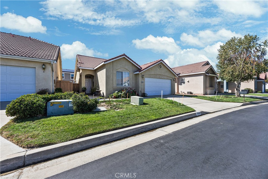 1644 Ametista Drive Property Photo 8