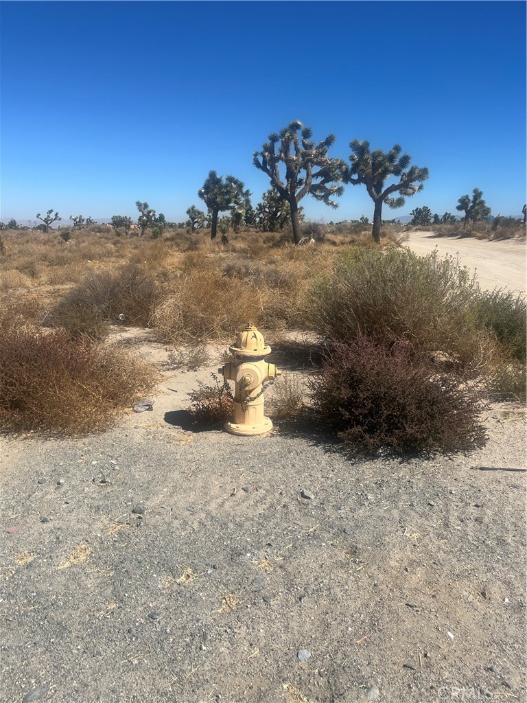 0 Sheep Creek Road Property Photo 3
