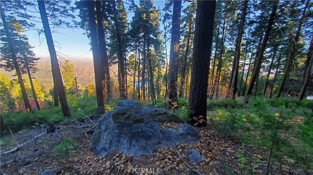 26 Peak Circle Property Photo 21
