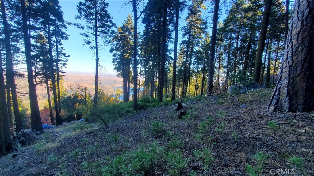 26 Peak Circle Property Photo 22
