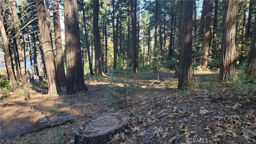 26 Peak Circle Property Photo 30