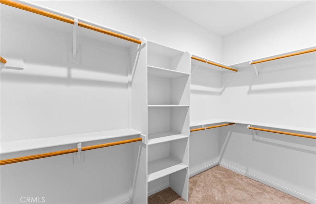 25381 Violane Drive Property Photo 22