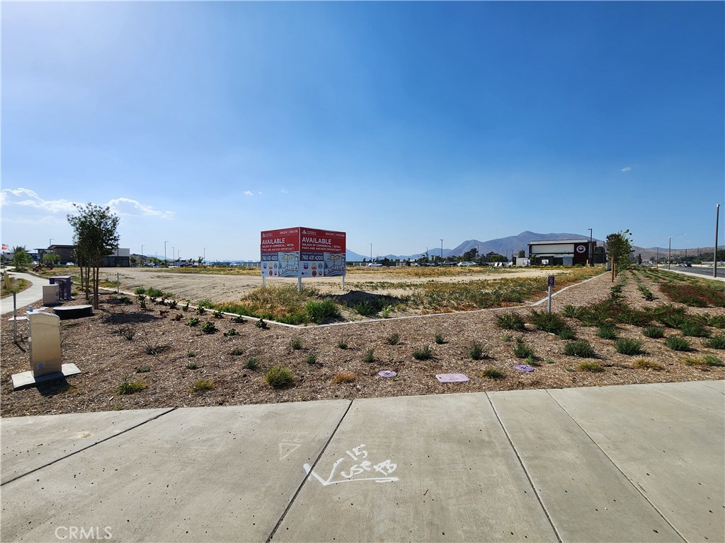 0 Olive Property Photo 39