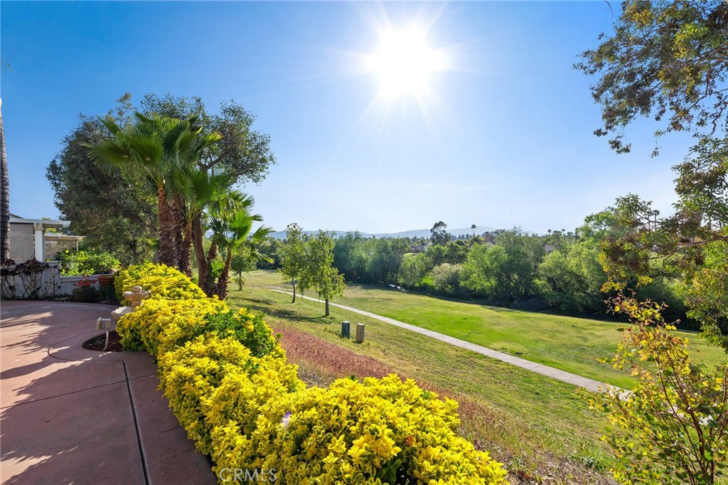 40511 Via Amapola Property Photo 29