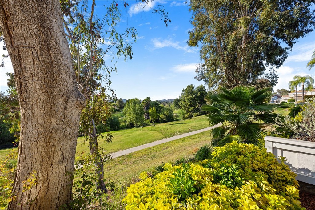 40511 Via Amapola Property Photo 30