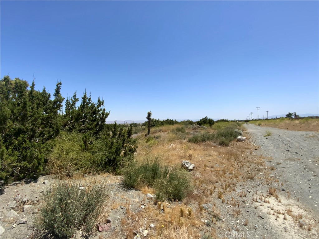 0 Phelan Property Photo 7
