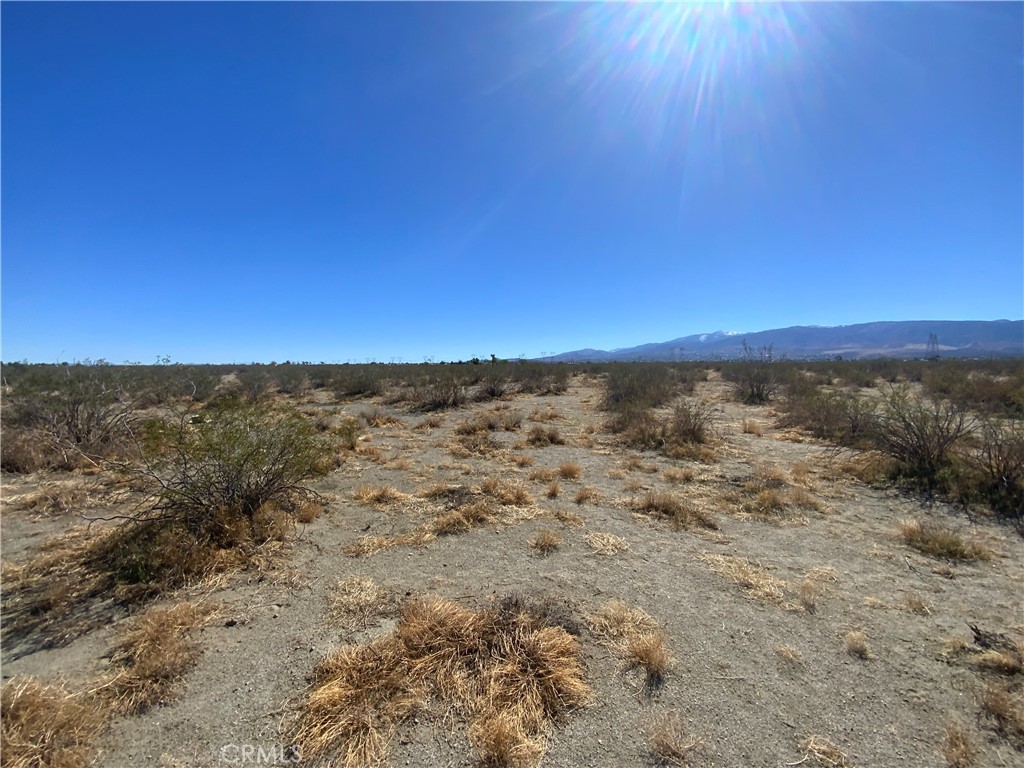 2975 Yucca Terrace Property Photo 2