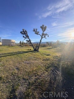 0 Madera Property Photo 4