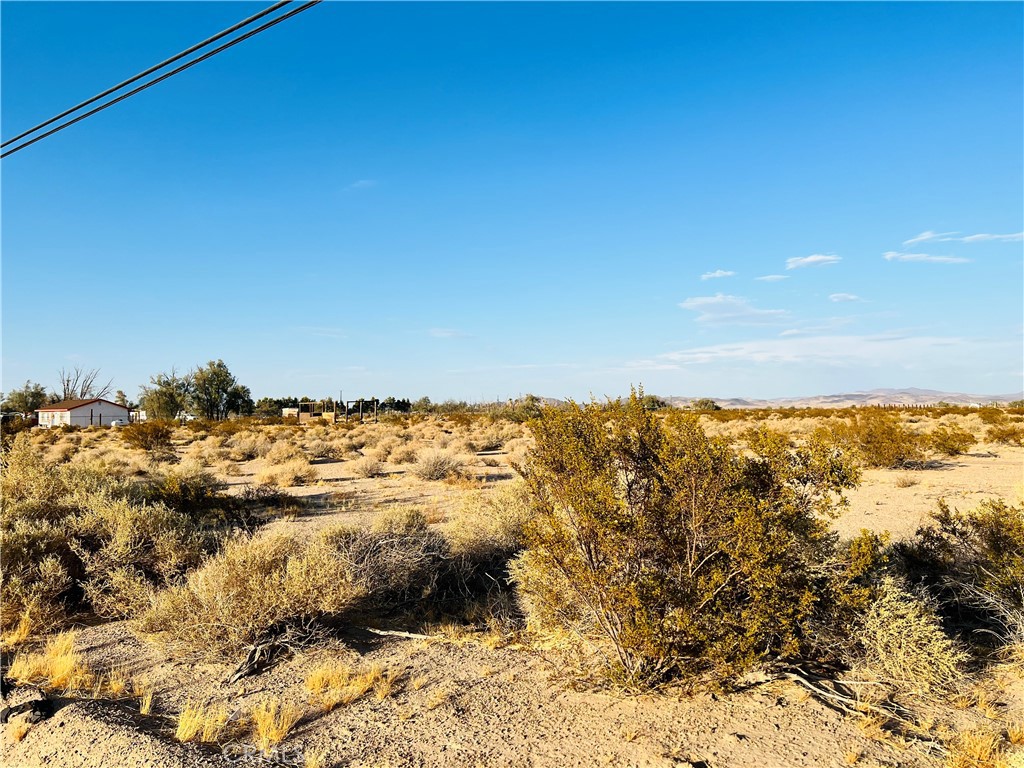 0 Newberry Road Property Photo 2