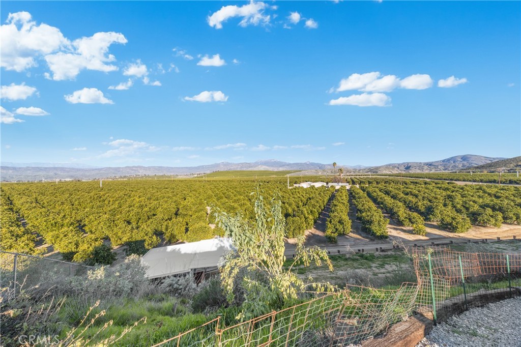 43840 Citrus View Property Photo 52