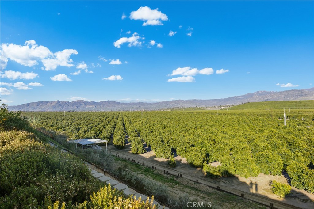 43840 Citrus View Property Photo 55