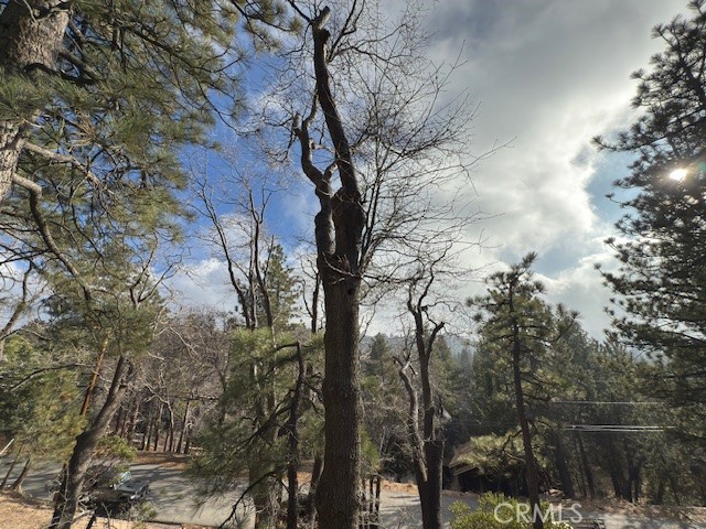 33058 Juniper Lane Property Photo 26