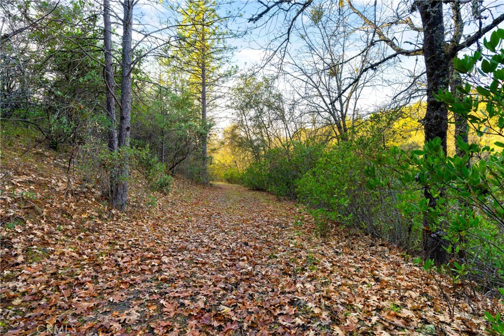 1 Ridgeview Circle Property Photo 6