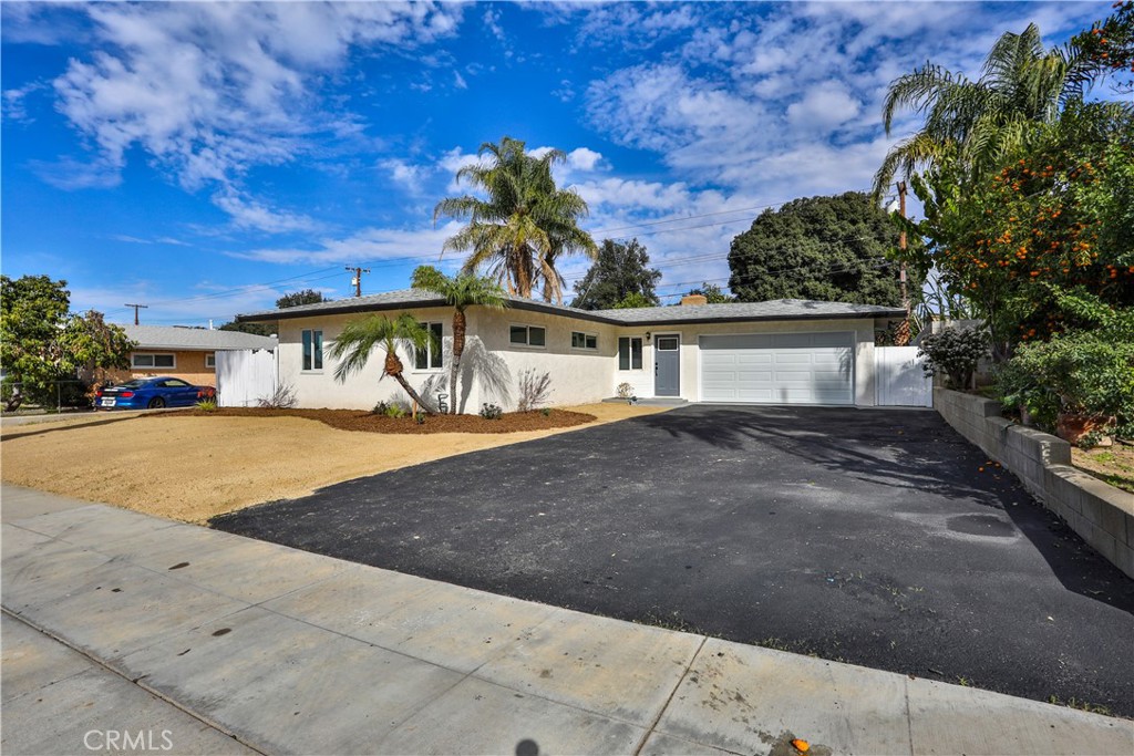4035 Madrona Property Photo 4