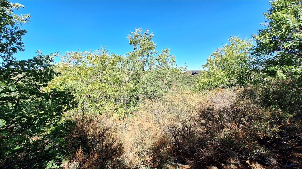 0 Coulter Property Photo 2